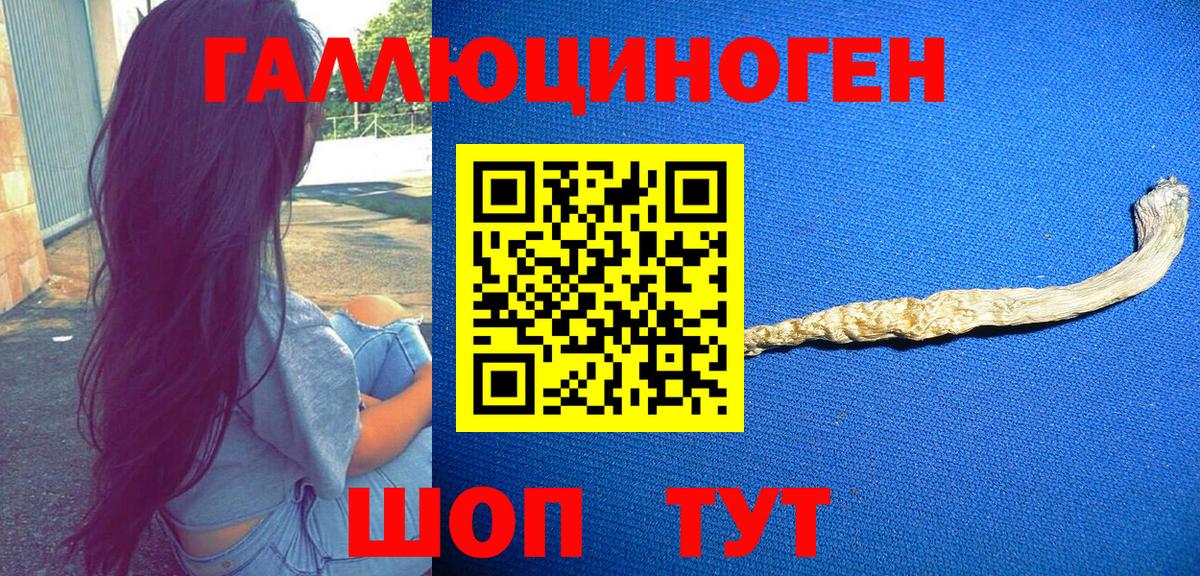 магазин  наркотиков  Вход с VPN  Ульяновск  Псилоцибиновые грибы мицелий 